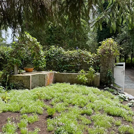 Gospodarstwo wiejskie Rural La Casa Del Burrero Castropol